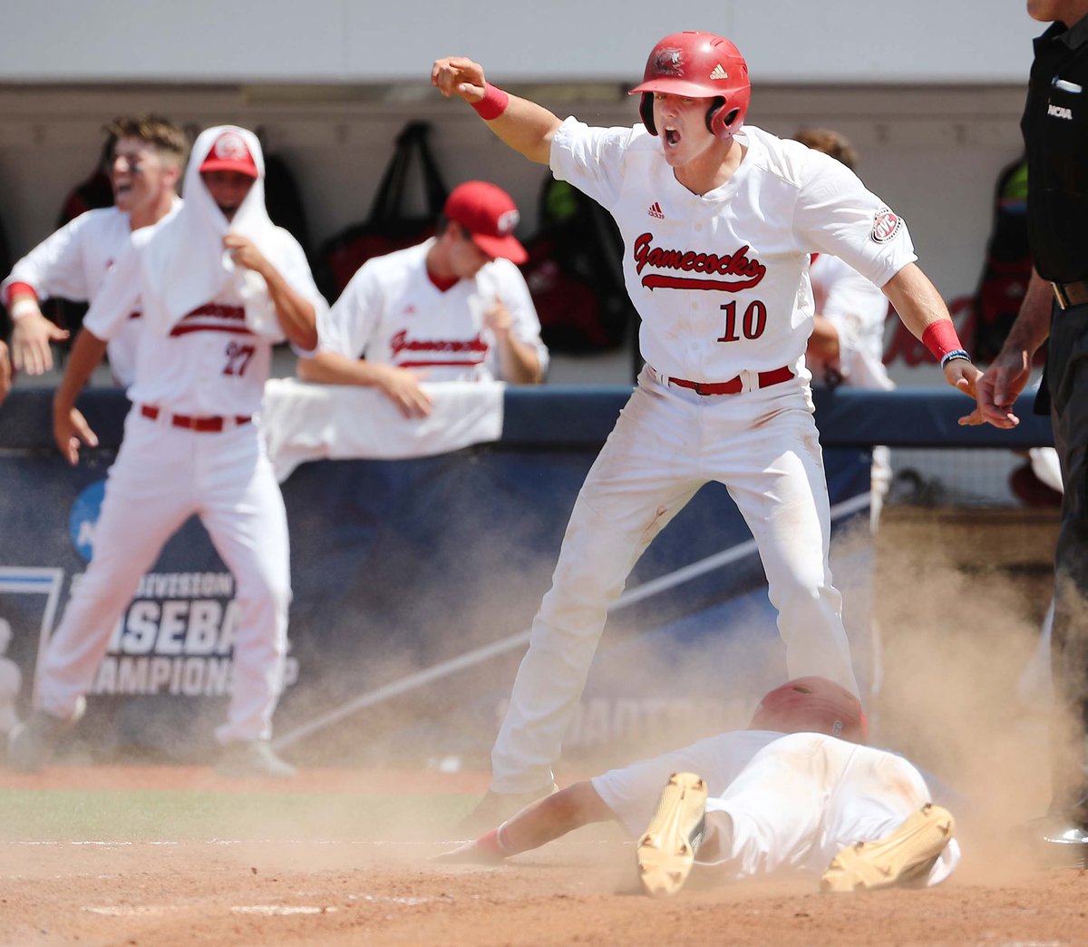 JSUGamecocks's tweet photo. Mood 😤😤😤
#FearTheBeak #StayCocky #NCAABaseball https://t.co/QqbVNjwTKf