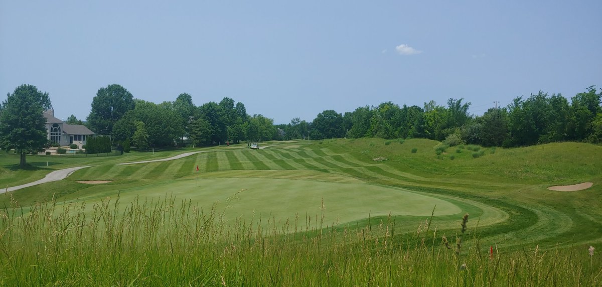 WhitmoorCCGrounds tweet media