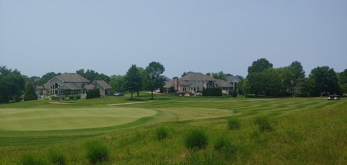 WhitmoorCCGrounds tweet media