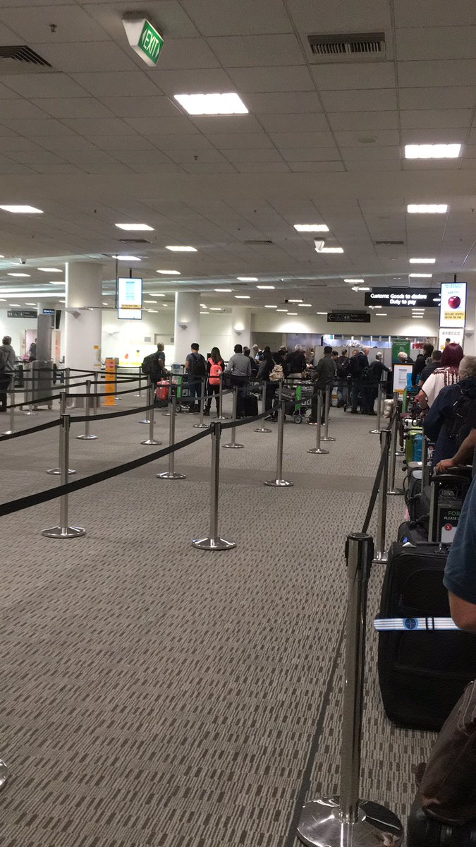 ktmilne6's tweet photo. No biosecurity video on plane yet - dogs out in force doing their bit for protecting our precious status #biosecuritydog #snifferdog #ifindoubtbinit @FedFarmers @MPI_NZ @oaklandsmilk @bushypark8 @andrew_hoggard @Lewisridge_Farm @juliajones110 @MooreBnmoore https://t.co/YFTNFQ3xfZ