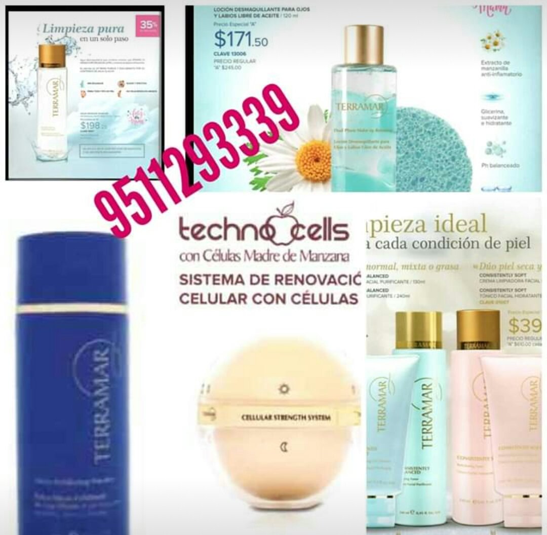 Blasi Luis Blasenia Twitter