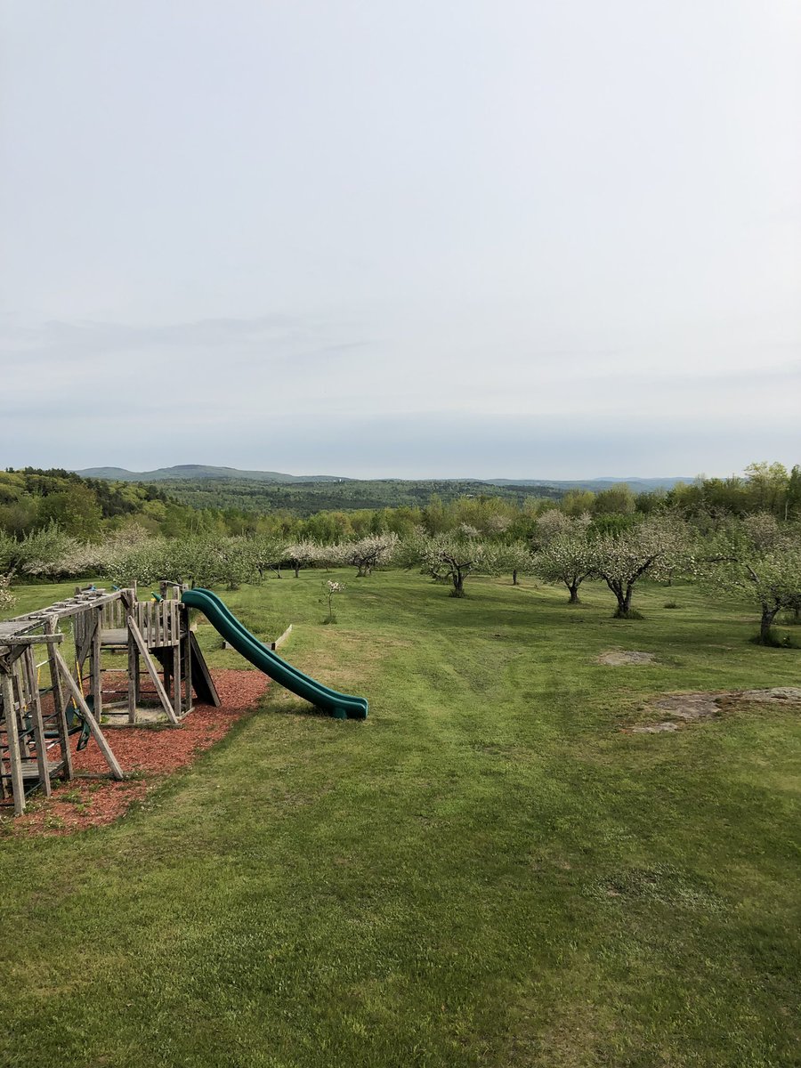 Jon_Couture's tweet image. Mowing is FINALLY done. Enjoying the view and a brew. Great tasting Xota Brewing Company “Oatis” down the hatch. #brewsandviews #beer #maine