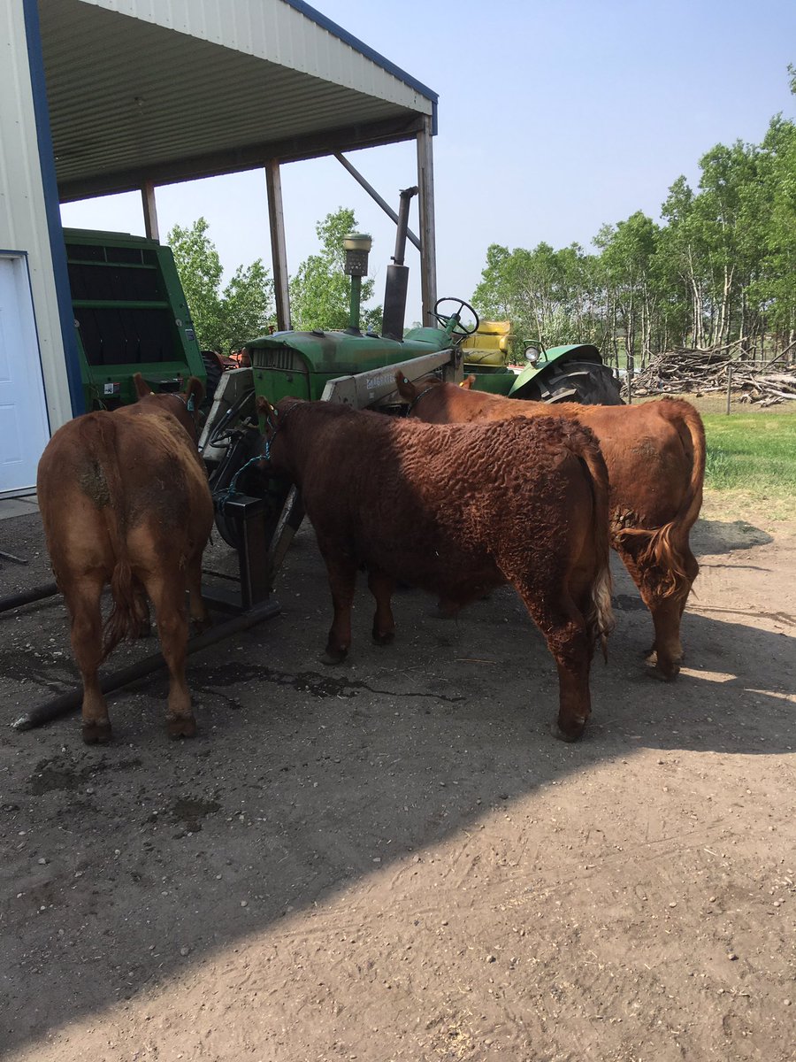 JasonKushnerick's tweet photo. Now that’s what you call Deere power!!  #4H https://t.co/3CU1nPVQhX