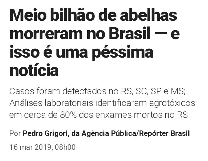 comicsxkyle's tweet photo. Gente isso é muito SÉRIO. 
As Abelhas não podem continuar morrendo, elas são as principais polinizadores dos ecossistemas do planeta, se elas forem extintas o ser humano acaba. POR FAVOR lutem para preservar as abelhas 🐝 https://t.co/YuiOUuCbfP