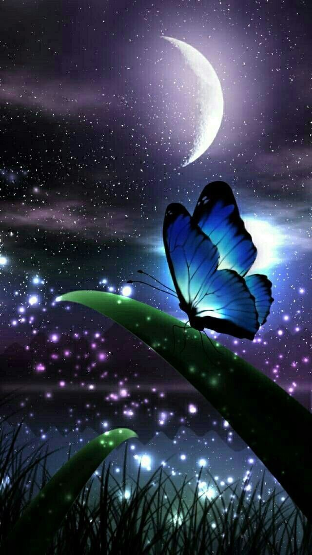 VeraLciaEu2's tweet photo. Good evening, my friends, I wish a very special and peaceful night to all of you, a good weekend to everyone. https://t.co/EWyAfS7kqc