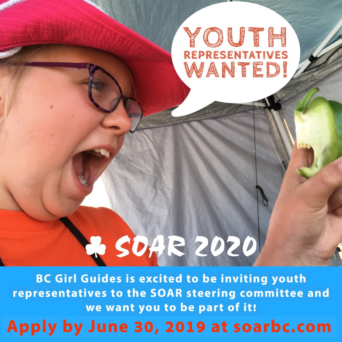 Youth Representatives wanted for the SOAR 2020 steering committee! Apply at soarbc.com.
