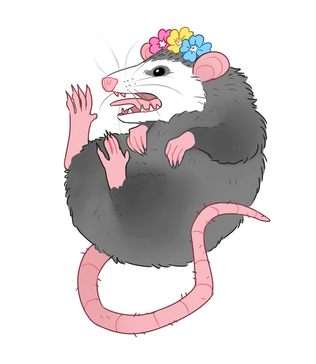 Identitypollution Pride Month Is Here I M Bringing Back Last Year S Pride Possums I D Like To Add A Few More And Maybe Do Some Stickers If Anyone Would Want Those What