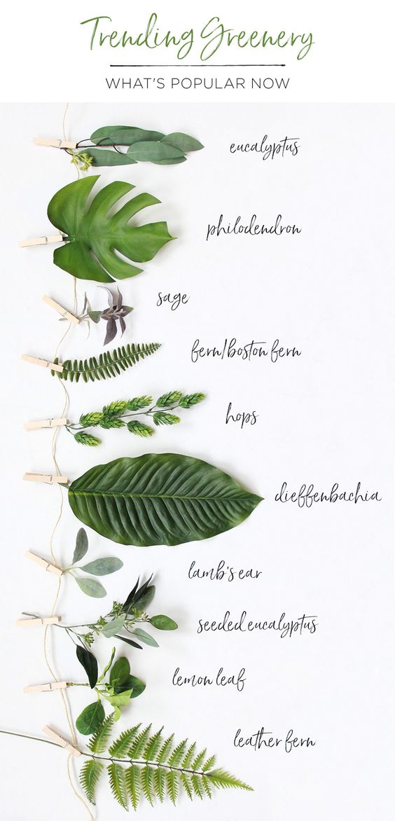 Lisa_LAbode's tweet photo. T R E N D I N G 

#labodeacommodation #greenery #inspiration #homedecor 

Via https://t.co/EpNguzCh8D https://t.co/OYSVePlB50