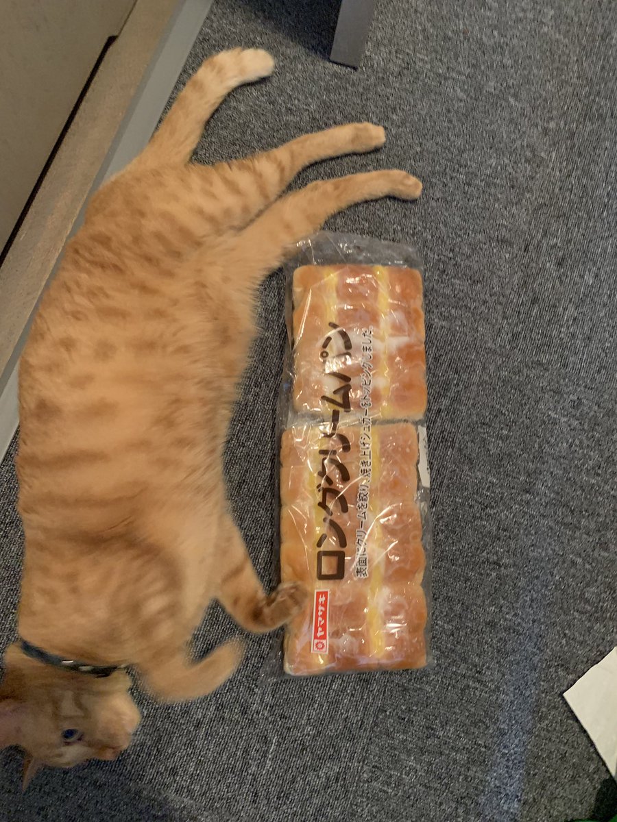 X Japan Thread Shock 1295