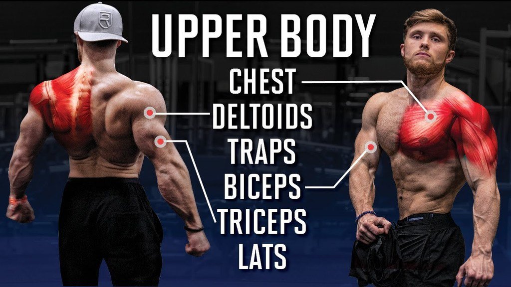kyleecho_cho's tweet image. #FitnessMotivation #Fitspo The Best Full UPPER BODY Workout For Max Muscle Growth (Science Applied) yourfitnesstrainers.ga/the-best-full-…