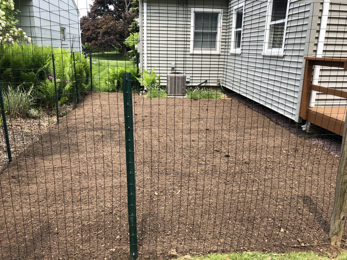 jnajder's tweet photo. Garden has officially been moved to a new location and planted! Was a lot of work, now i just wait, lol. #firstdayofmeteorologicalspring ☀️ https://t.co/ZcPoDkBYbV