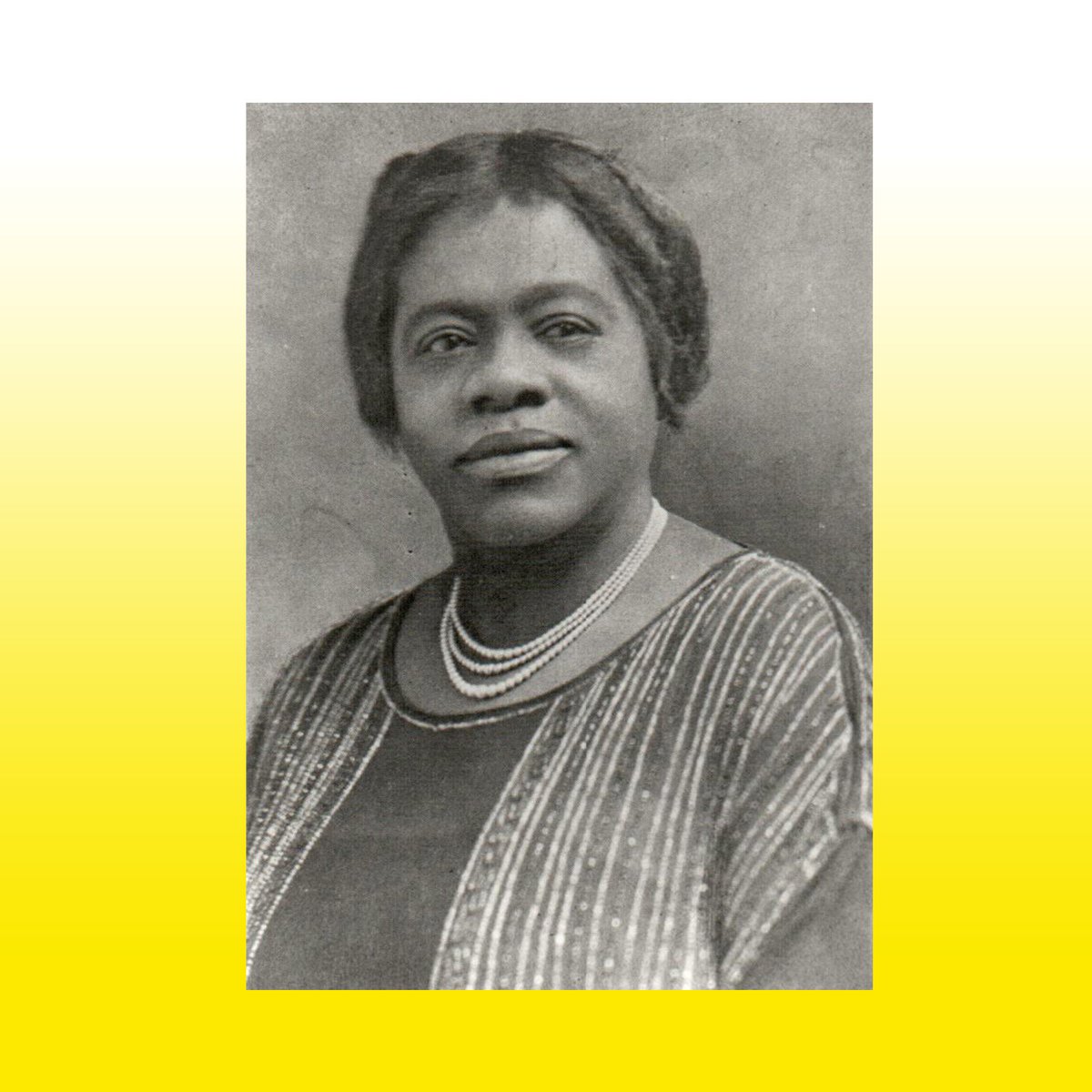 WhyMaryProject's tweet photo. The Mary McLeod Bethune an educator, stateswoman, philanthropist, humanitarian and civil rights activist. #whymaryproject https://t.co/OOvdrNCmsL