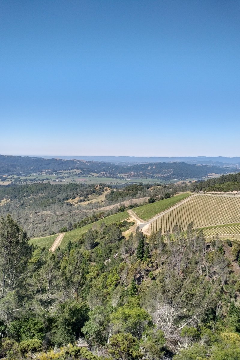 waynemiddaugh's tweet photo. Napa, Sonoma, unreal!! #PeterMichael #DavidArthur #CliffLede #Cardinale... next up Monterey, Carmel!! https://t.co/1gJxmZwDXH