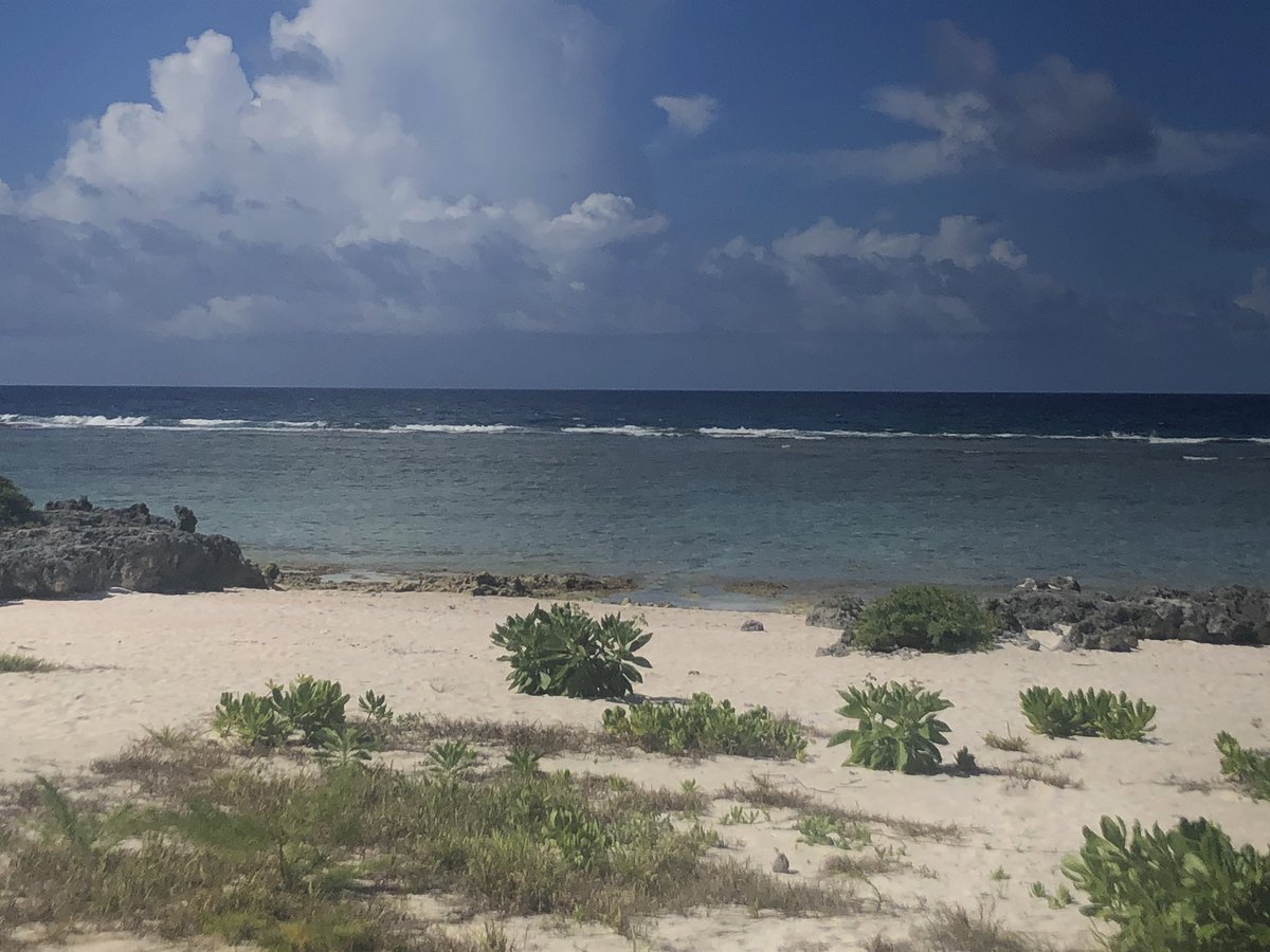 rdcmj's tweet image. Let me tell you about this camping weekend! #bombaf #lovemyfam #sucessfulfamweekend #memoriesforyears #gotthatbombasstan #shxtimgoodgood