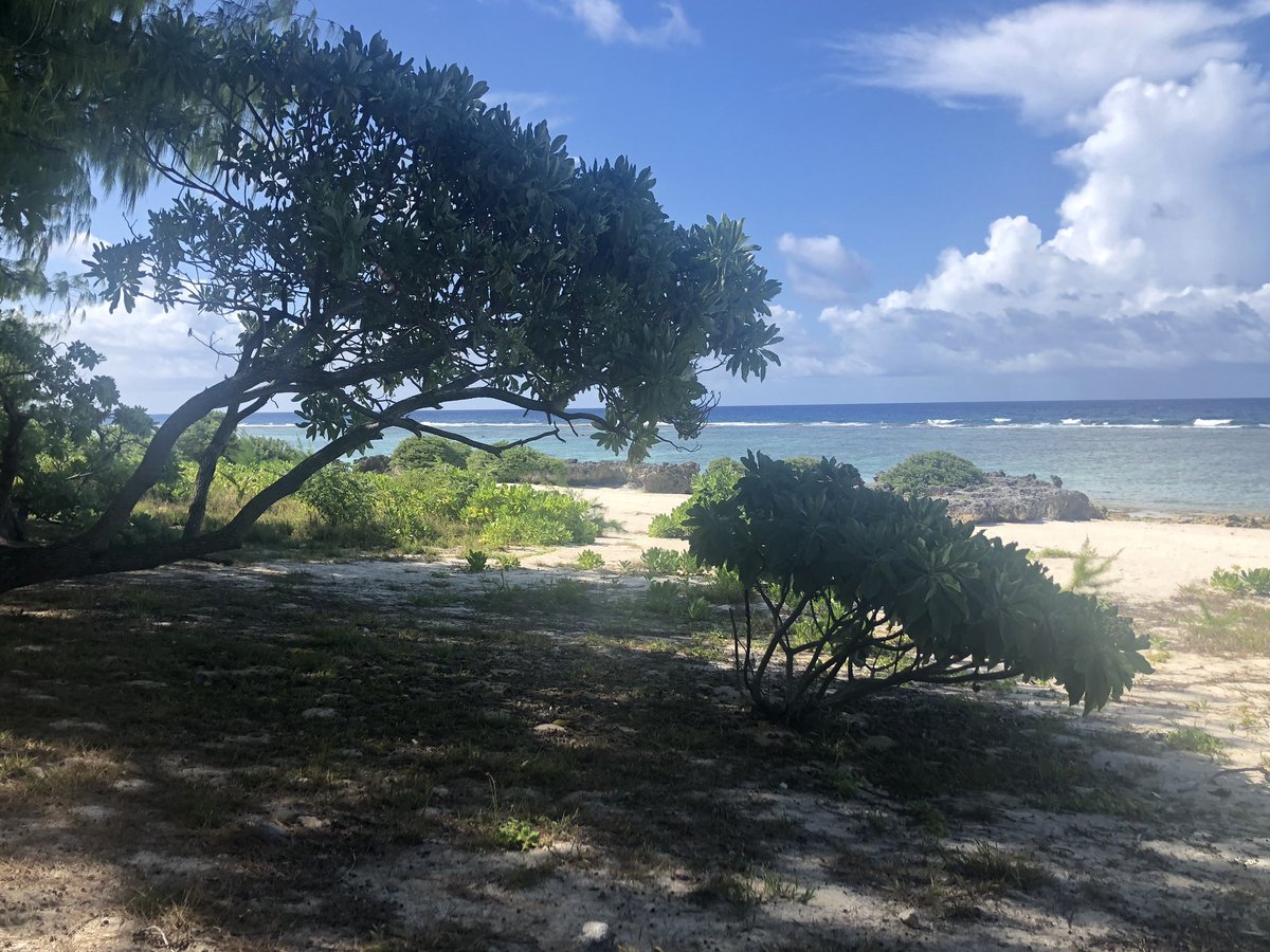 rdcmj's tweet image. Let me tell you about this camping weekend! #bombaf #lovemyfam #sucessfulfamweekend #memoriesforyears #gotthatbombasstan #shxtimgoodgood