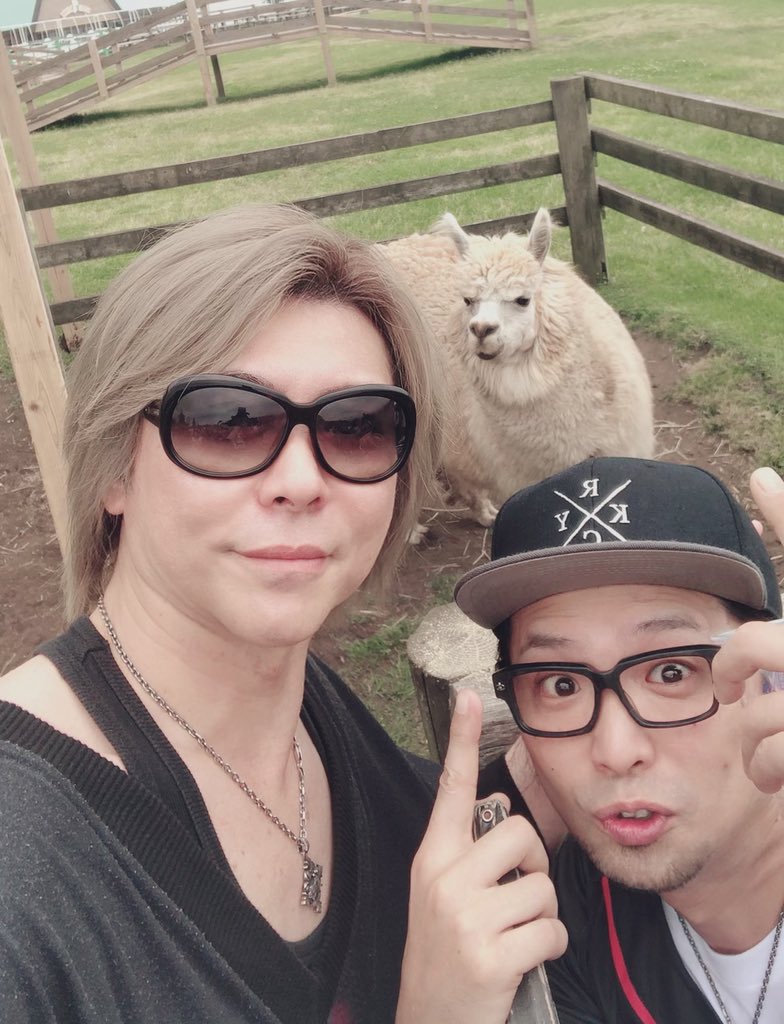 Kingryo アルパカ マジでツバ吐く5秒前です T Co 3kcw3qzu6j Twitter