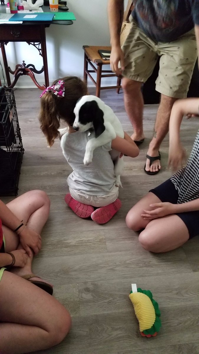 CHNpups's tweet photo. ADOPTED!!!! Such the cutie Doc has a new family! https://t.co/Fq1akIWN0j
