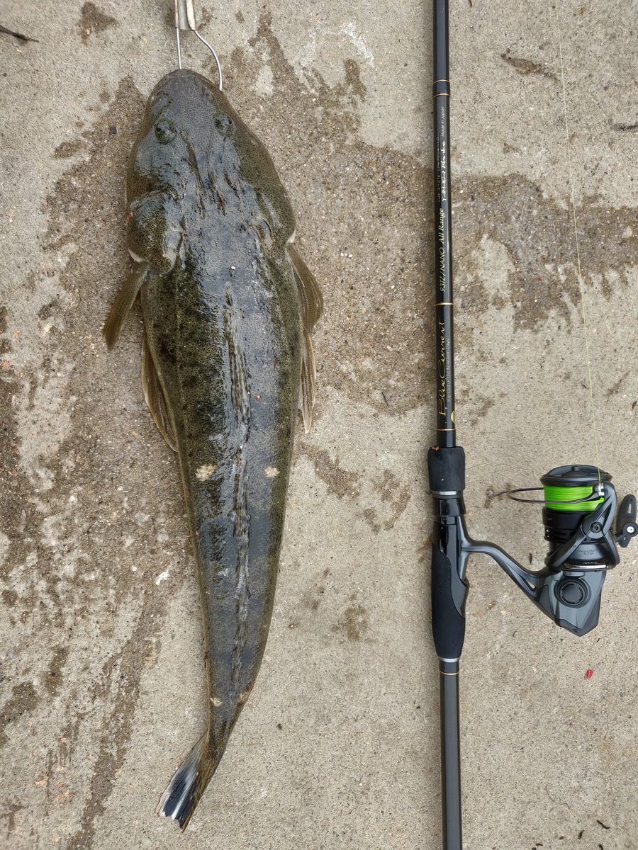 ヤマガブランクスブルーカレント93tz nano