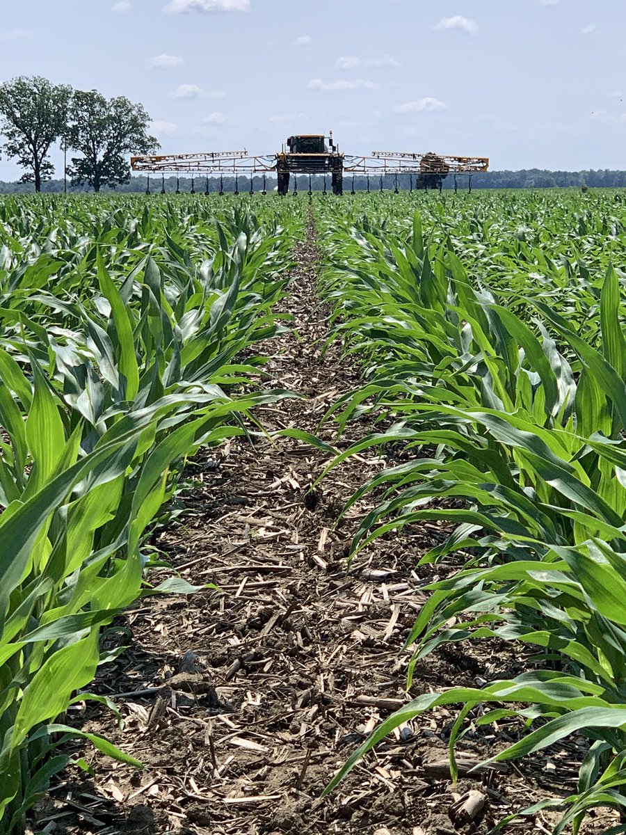 This @ChannelSeed corn is getting everything it needs right now. Our partners, @ConceptAgriTek making sure this corn is loving life! #grow19 @dgreenwell2