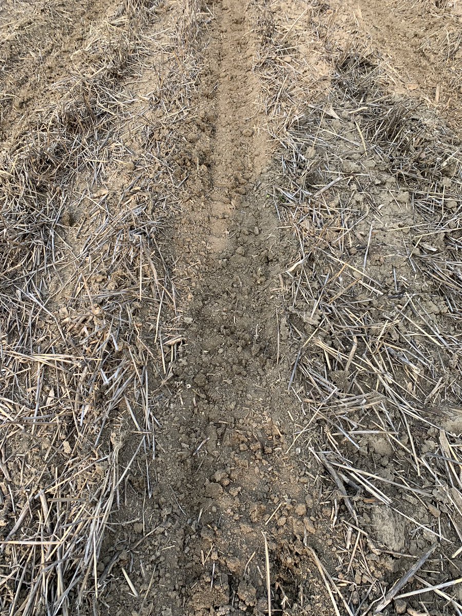 travismesser81's tweet photo. @precisionplant #FurrowForce is really impressive in tough mucky hard to close conditions in western #ND.  Most would fall short in this stuff!  #Impressed https://t.co/xWMm5IYTmS