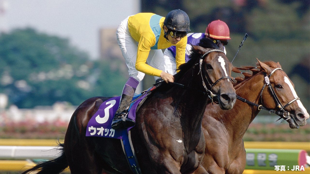 単勝馬券 ウオッカ 2009年安田記念 単勝馬券 ウオッカ 2009年安田記念 【競馬】 2009 安田記念 ウオッカ