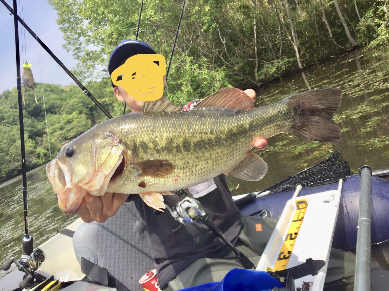 きんたんぼう Nwgj4sblpnzh7b8 Twitter