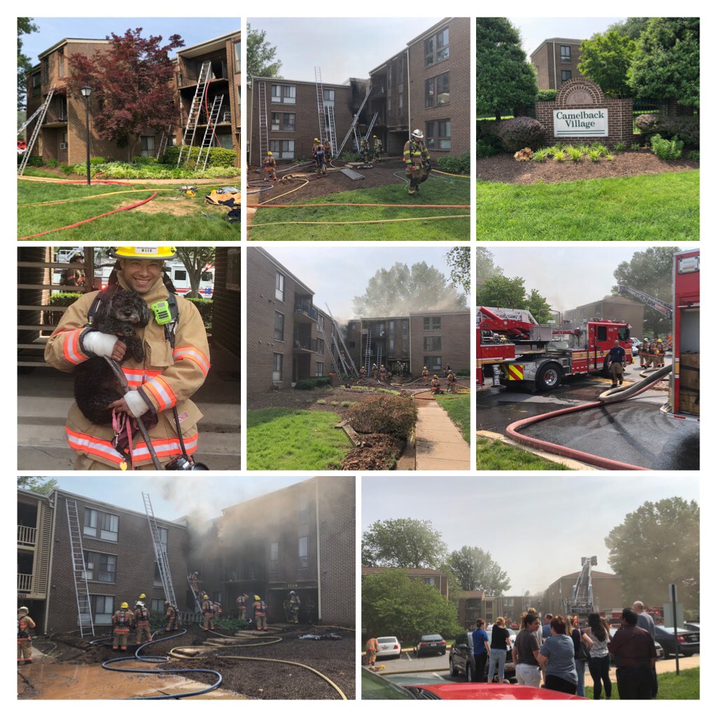 Pete Piringer on Twitter "Dozens of Olney residents (&pets) are