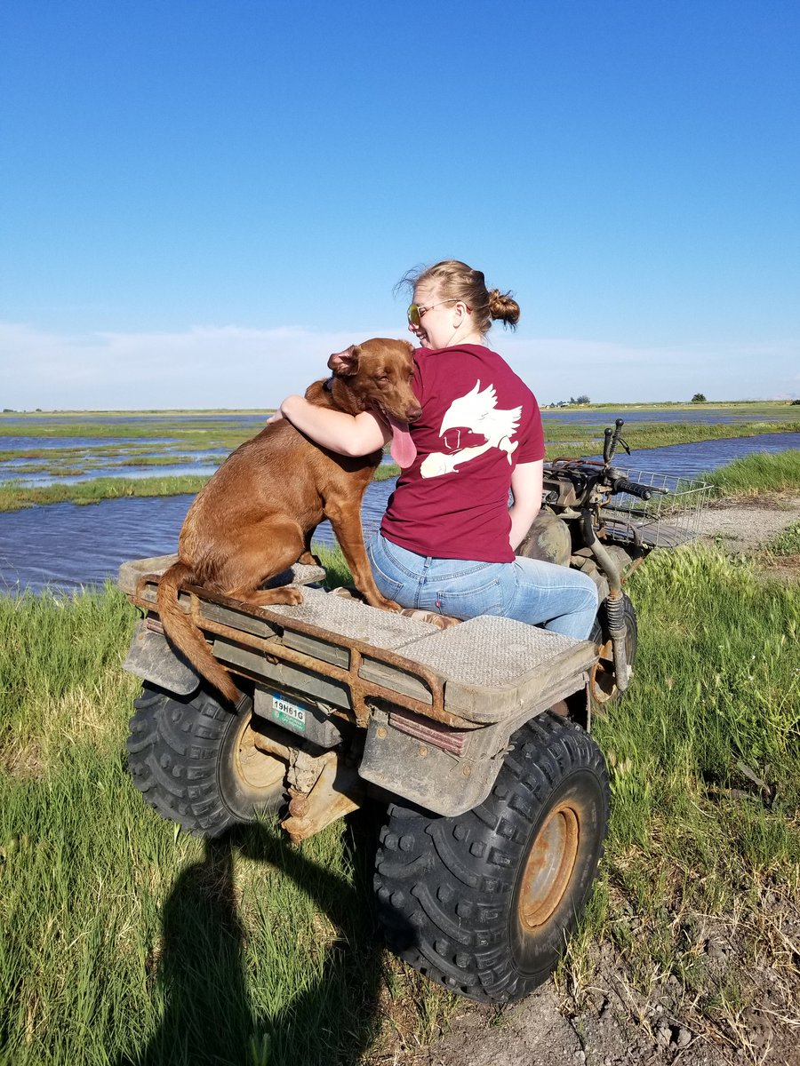 eyes_of_nature's tweet photo. When I say I'm going to the club, I mean the duck club.
@backroadapparel #backroadsrep #backroadsapparel #BRAfaithful #chocolatelab #labrador #duckclub #duckseason #quackquackmotherfuckers https://t.co/VWf25yWZ7D