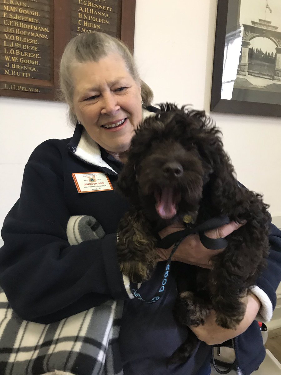 LionsAdelaide's tweet photo. Our @AusHearingdogs foster #puppy Spud is attending the district cabinet meeting at #birdwood today, and making his thoughts on various topics known. #lions #inclusive #barking #ALHD https://t.co/bAnVyz9DXi