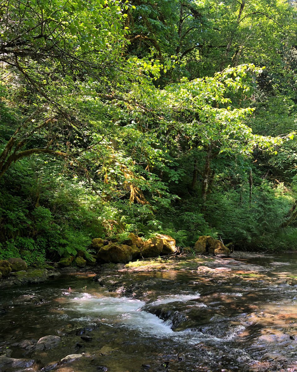 To silently sit, watch and listen is to truly love Mother Nature.. #oregonadventures #hagglake