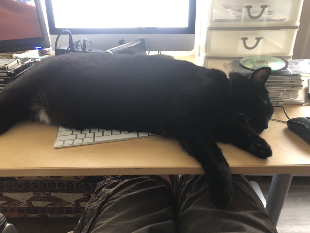 Stephen J. Schaff tweet media