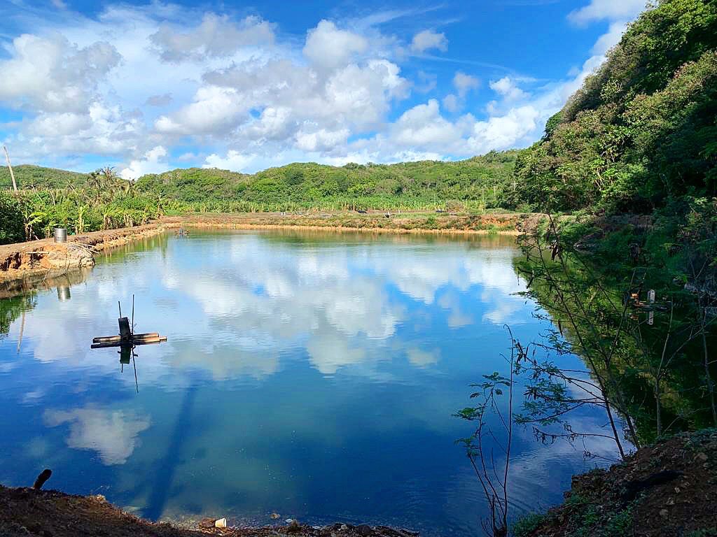 ValleyGuam's tweet photo. #🇬🇺 Guam’s #MirrorLake ? 🤔 or #MirrorPond at the #ValleyoftheLatte #lake #nature #sky #landscape #visitguam #guamlife #travel #sundayfunday #guam #beautifuldestinations #travelholic #wanderlust #travelphotography #travelling #travelguide #beautiful #serenity #peaceful #island https://t.co/Vdd8ooKNTy