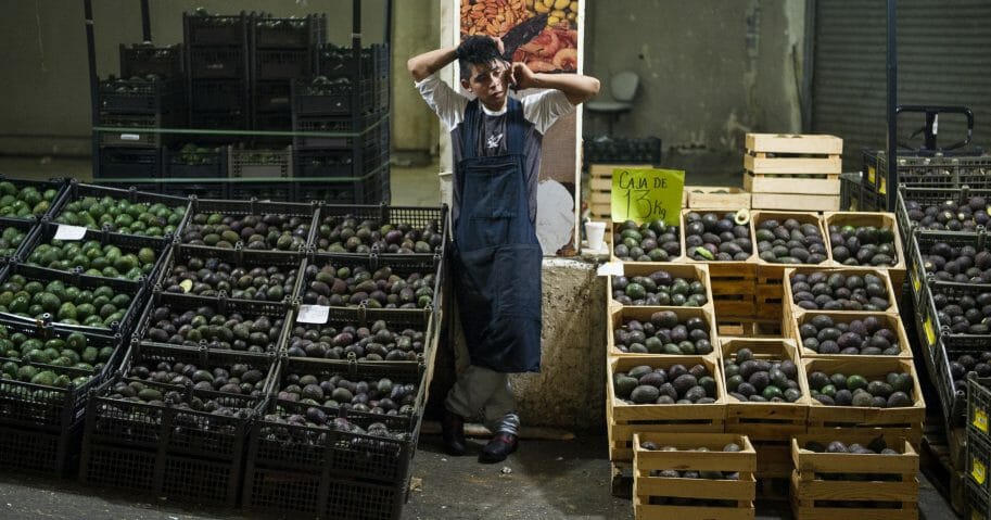 TPNN_ThePoint's tweet photo. Mexican avocado growers expect US consumers to bear tariffs https://t.co/mX8mIoAVbY https://t.co/7d2hHT6HXG