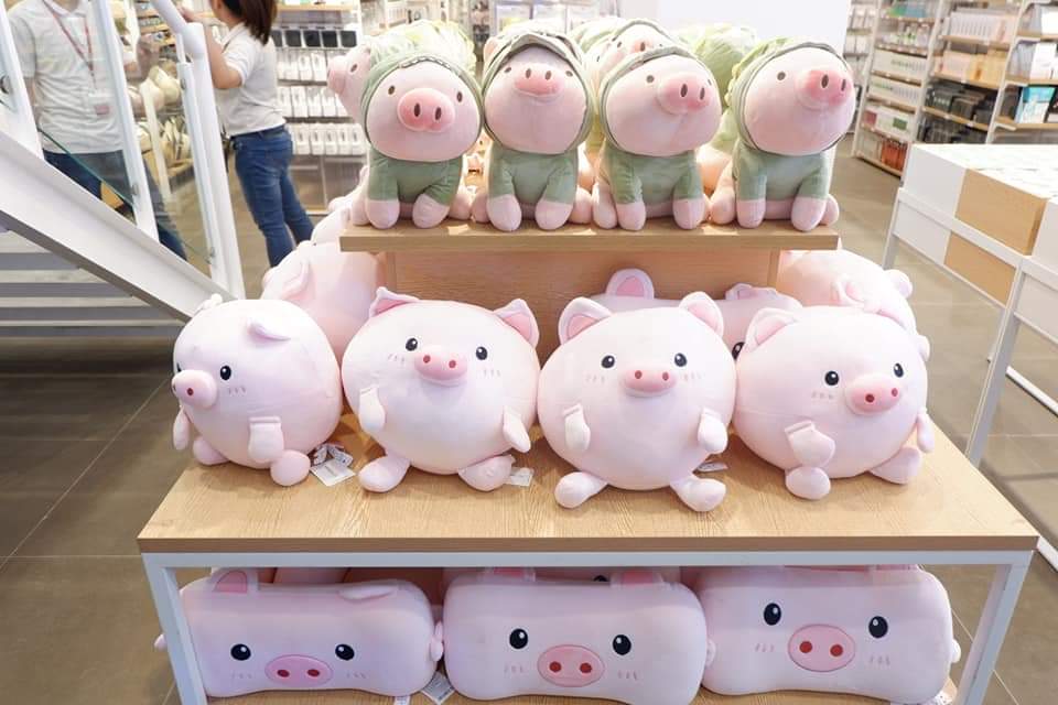 FebbieMorabe's tweet photo. Can I have one or two, please? 😭 https://t.co/n03tVBRwnP