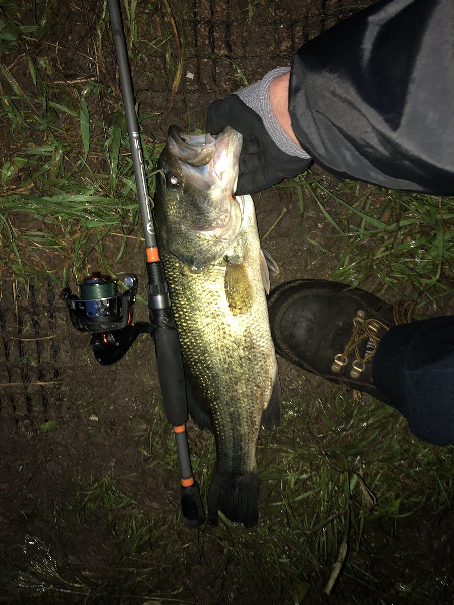 RynoC84's tweet photo. What a great night of Bass Smashing!! Landed a Hog!!! My Personal Best Largemouth Bass!! https://t.co/OEfzzQv2fo