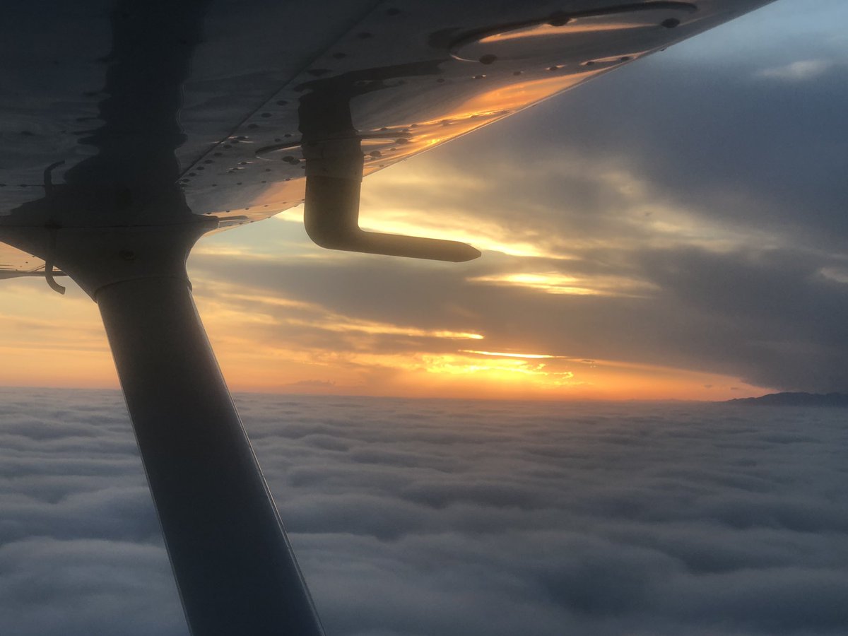 Mark J. Coladonato tweet media