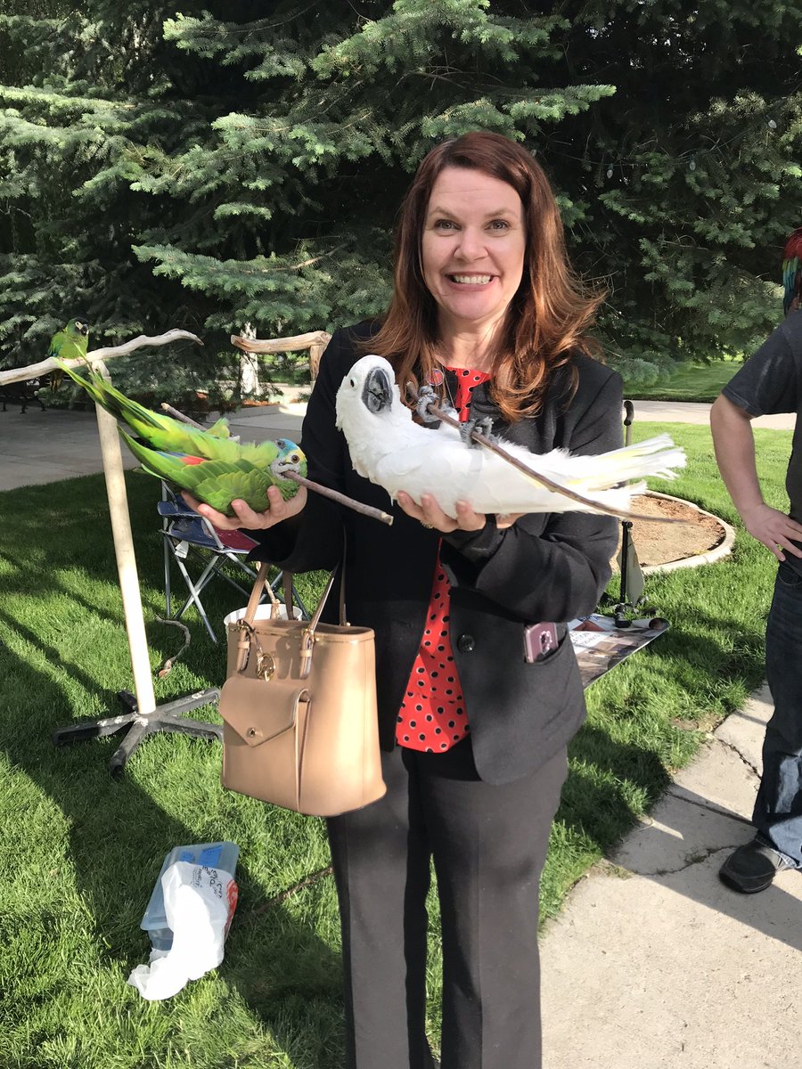 Asm. Michelle Gorelow tweet media