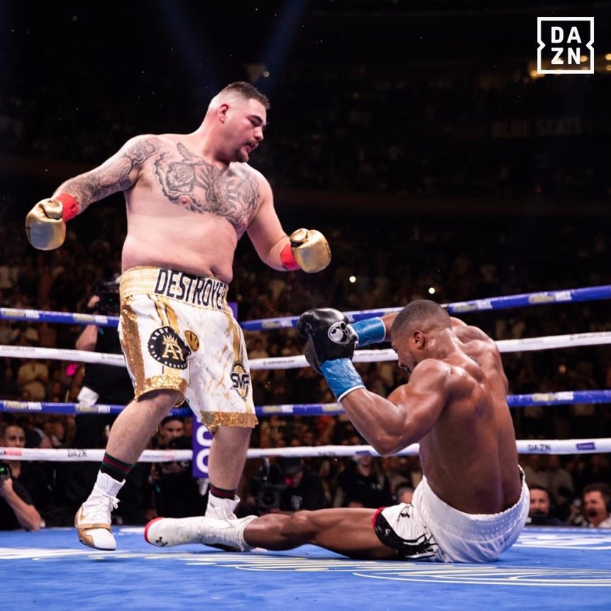 BarstoolBigCat's tweet photo. Andy Ruiz is our new Chonk King! https://t.co/kejJio53jH