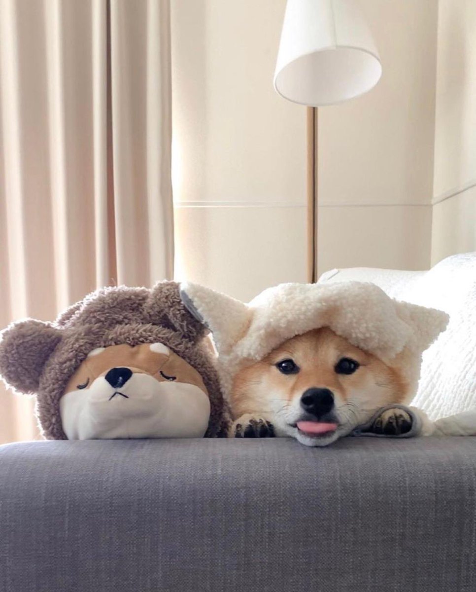 一条さん tweet media