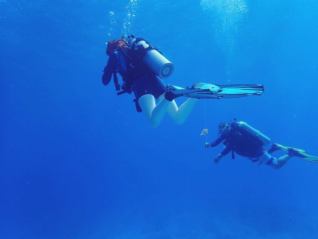 TigerTwinB's tweet photo. Life has been a challenge these past months, but we all float on. I am fighting every day! I promise to share more soon, of both my weak moments and my successes. ๐๐ #CRPS #crpswarrior #scuba #scubadiving #fightingeveryday #spoonie #adventurer #explorer #nevergiveup #floaton https://t.co/EysRUg4esy