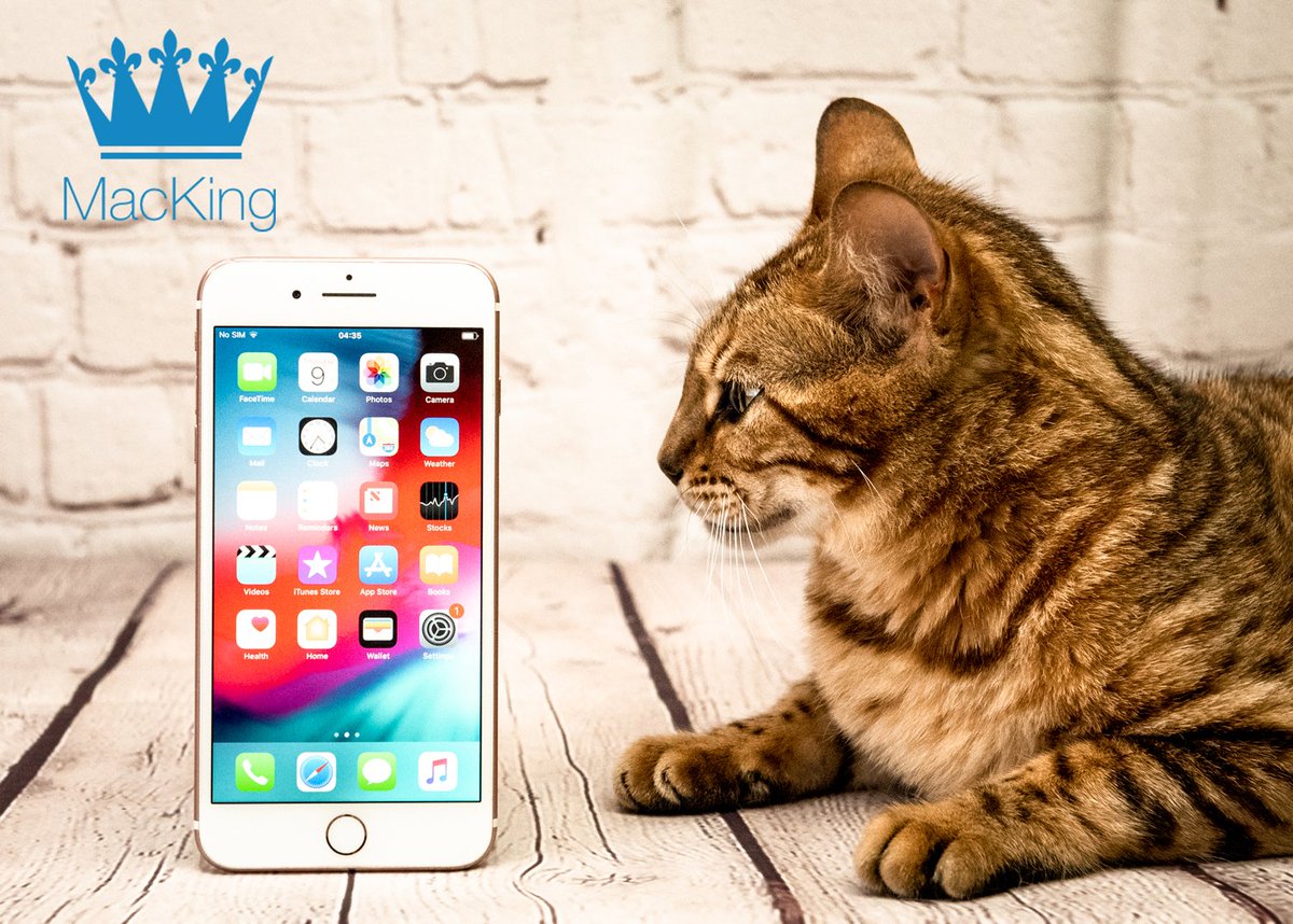 Time to talk? We have some fantastically priced refurbished 🍏  iPhones with year warranties available over at macking.co.uk #roythecat #cats #apple #mac #bengal #refurbishediphone #reconomy #buysecondhand