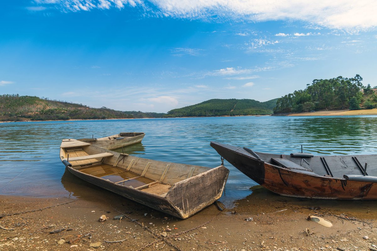 ReviewMyRetreat's tweet photo. @Relaxscape, a #Retreat to simply #relax in #nature in #Portugal
#Yoga, #forestbathing, Art, Olive picking, #Winetasting, Creative writing #holidays ,#lifecoaching #healthylifestyle &amp; #WellnessThatWorks https://t.co/OmiAXi6OYd