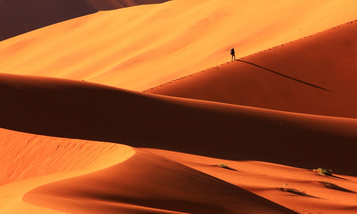 wanderlustmag's tweet photo. Namibia combines desert, coast, wildlife and adventure perhaps better than any country on earth 🧡
Read on to discover the eight of the best things to do in this extraordinary country > https://t.co/3m1H2Xizee
@NamibiaHorizons #wlnm #ad https://t.co/P56udwuY1H