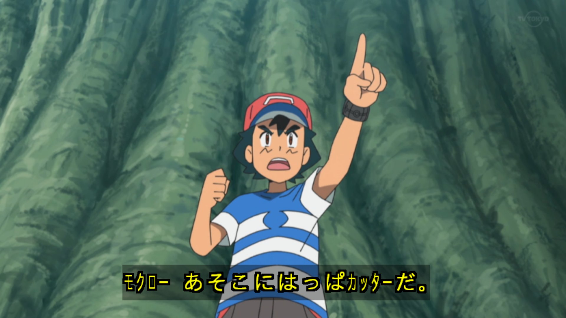 Zexy モクローは そっぽを 向いた アニポケ Pokemon Sunmoon124 T Co Fevqoorn7z Twitter