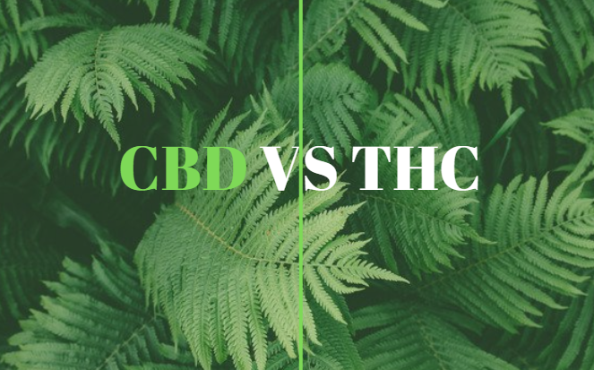 CBD vs THC: Breaking Down The Differences
cbdfable.com/cbd-vs-thc/
#cbd #hemp #cbdvsthc #cbdoil #hempoil #cbdfable #cbdheals #cbdcures #cbdforlife #hempheals #marijuana #cannabis