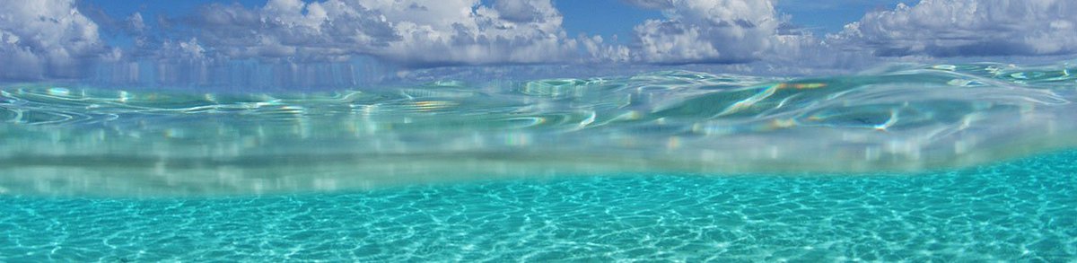 CaVassilios's tweet photo. GREECE-Chrissi Island Creta
#Greece #island #beach #Sommer #Vacation #Paradise #OhMyGreece  #Travel #greek #Reisen #holidays #VisitGreece #ttot #travel #travelblog #travelblog  #travelhints #RTW #Creta

https://t.co/3fDBED6U1V
https://t.co/doNeU3ehfq
https://t.co/zYMXmtewyH https://t.co/IiiDbuekyd