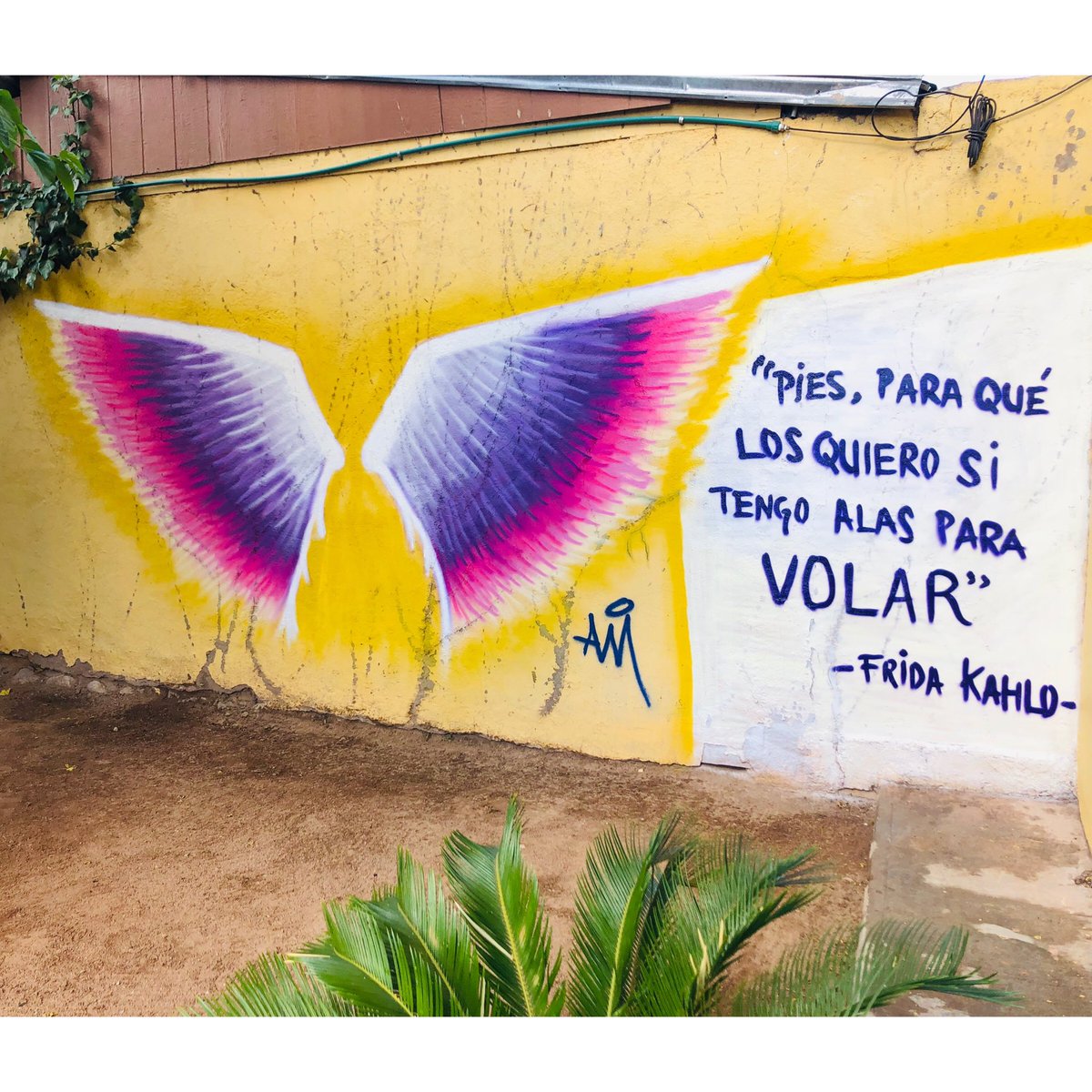 joelcamacho's tweet photo. Una Alas en honor a los niños de la guardería ABC, son 10 años y no tenemos justicia. Especialmente Gracias a Bizio Café, vengan a tomarse una foto y un rico Café ☕️. #30AM #30iAM #BorderArtist #graffitiart #streetartchilango #AguaPrieta #ElCharco #BizioCafe @ BIZIO Café https://t.co/O8uzxPybAG