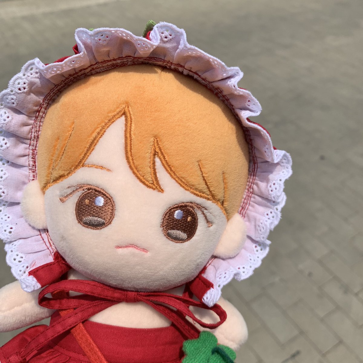 🧡귤정우🧡 (입금중) tweet media
