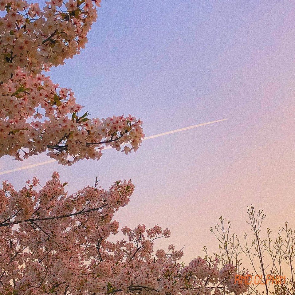 faeblogs's tweet photo. ⇢ you are truly 𝒘𝒐𝒏𝒅𝒆𝒓𝒇𝒖𝒍 in the 
     most 𝒎𝒂𝒈𝒊𝒄𝒂𝒍 of ways https://t.co/6DFm1FXBfA