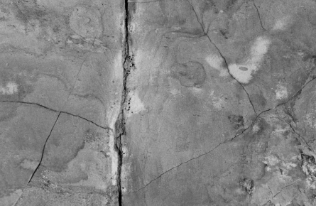 ID_Color_BE's tweet image. Vous remarquez une fissure dans votre mur après avoir acheté votre pot de peinture ? Pas de panique !

Élargissez la fissure, dépoussiérez, remplissez le trou d’enduit de rebouchage. Ôtez le surplus de la spatule et repassez jusqu’à ce que la surface soit lisse.